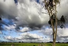 开云平台-暴雨中的涅槃！乌克兰门神三扑点球弑北欧，舍瓦跪地仰望的黎明