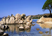 开云体育APP下载-富勒姆迎战西汉姆联,胜负难料的精彩对决!