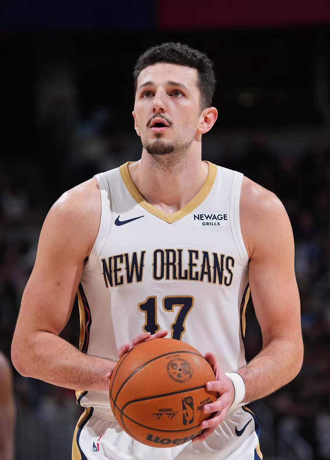 关于雄鹿内线压制活塞，字母哥高效表现助球队战胜对手的信息