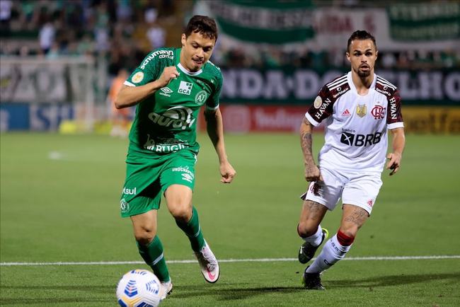 数据分析：帕尔梅拉斯历史战绩与本届展望的简单介绍