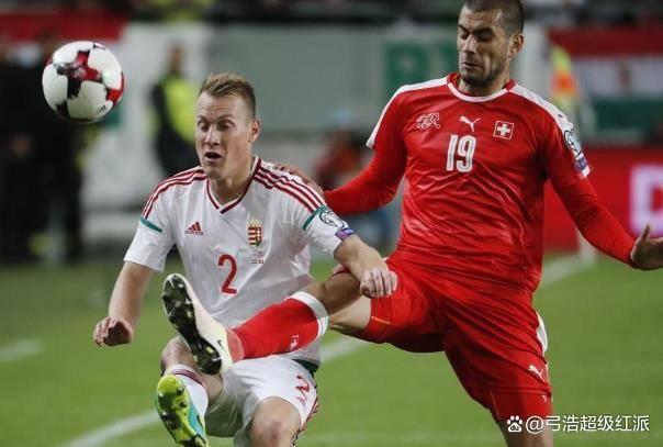 开云平台-荷兰队在比赛中展现强大实力