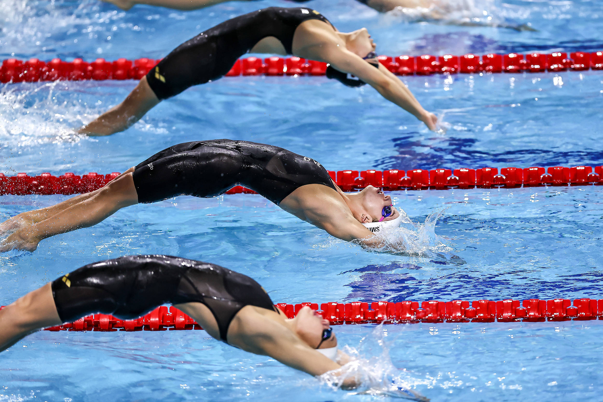 游泳选手奋力冲刺,取得第一名的简单介绍 游泳选手奋力冲刺,取得第一名的简单介绍