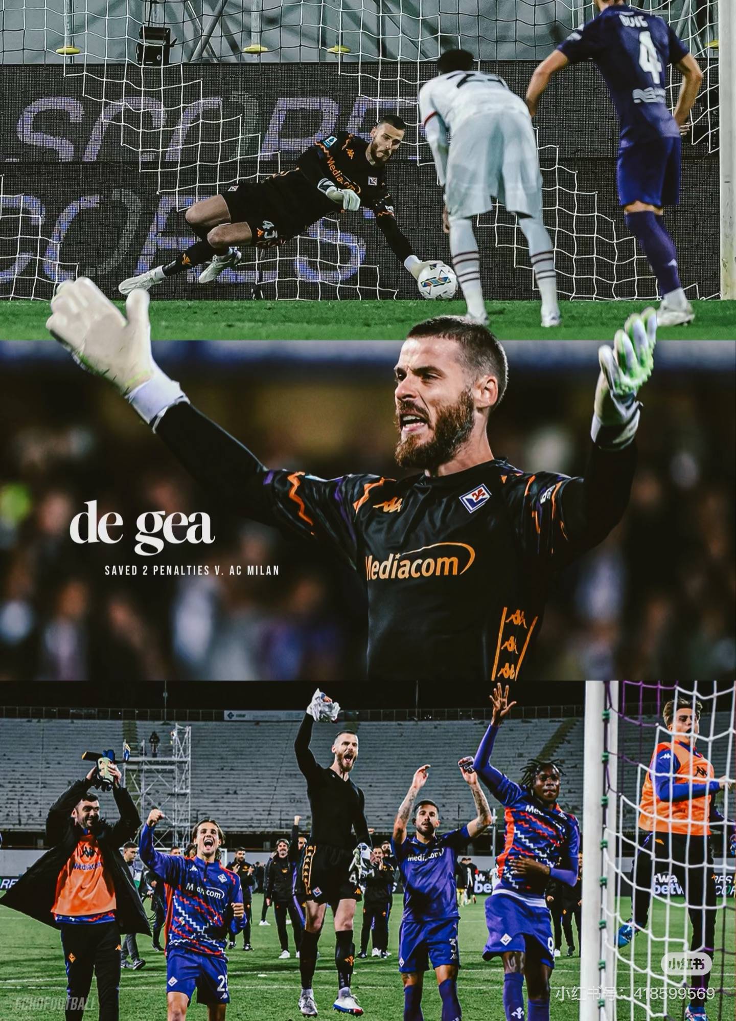 开云体育入口-佛罗伦萨主场小胜热那亚，保持中游位置的简单介绍