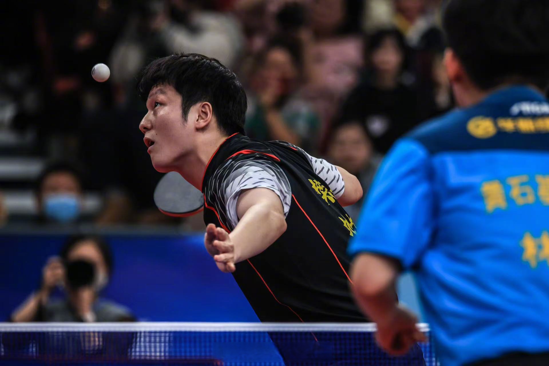 比利时乒乓球队轻取日本乒乓球队,樊振东打破历史纪录的简单介绍 比利时乒乓球队轻取日本乒乓球队,樊振东打破历史纪录的简单介绍