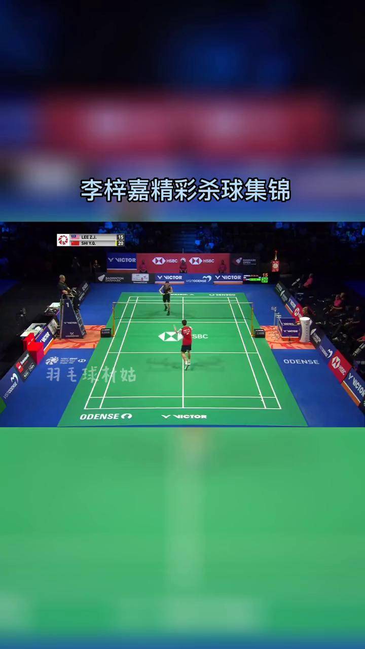 开云APP-丹麦队横扫日本队，李梓嘉带队取胜