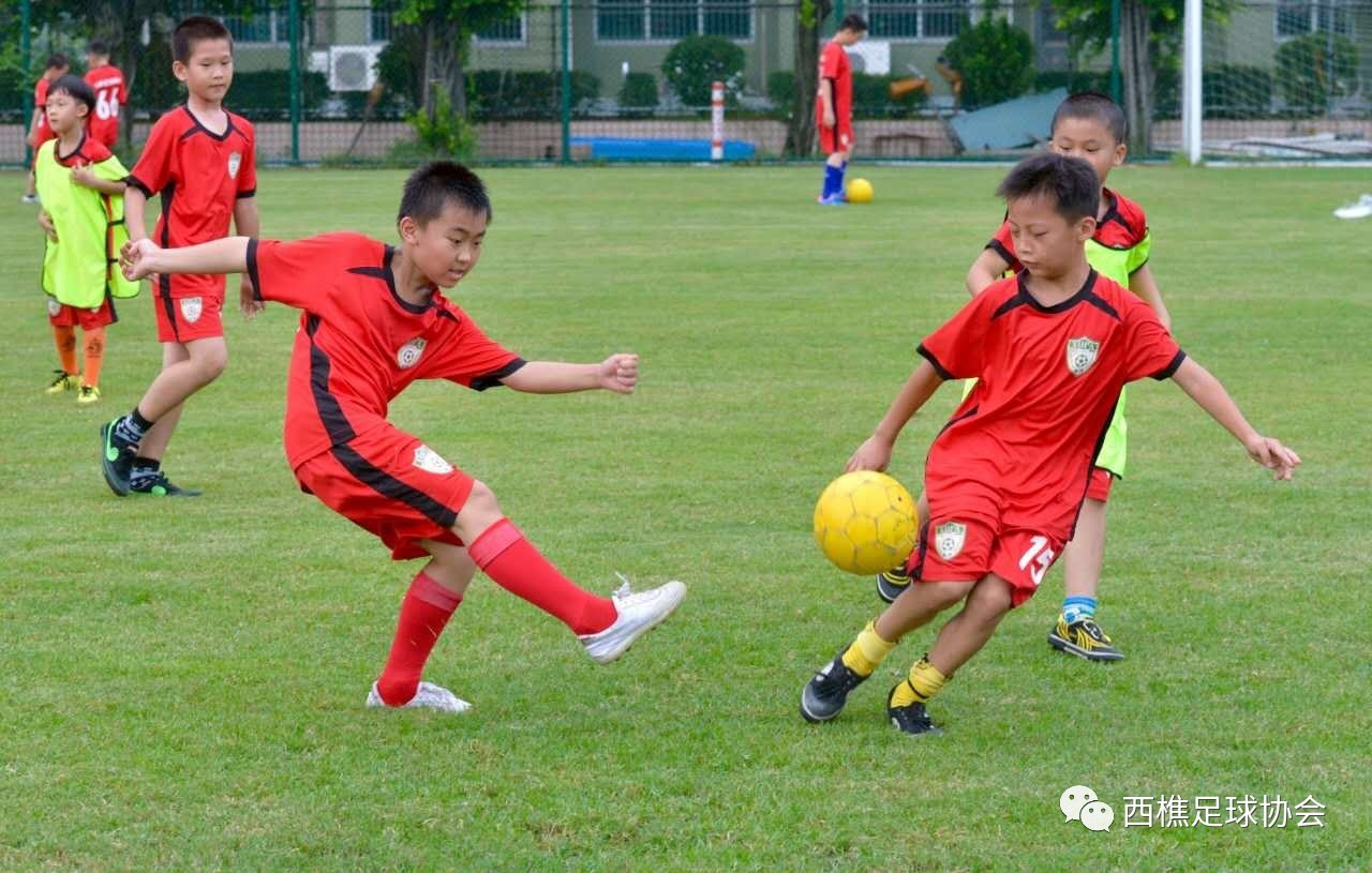 开云体育app-青少年足球培训营开启，星光熠熠惟我独尊