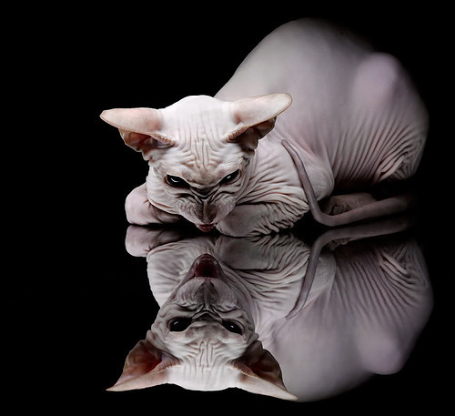 开云下载-掘金群星火力全开压制热火 布伦森节奏魔法盘活全队