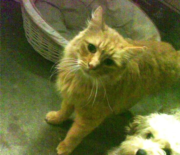 范弗利特单骑破阵，勇士末节狂潮逆转奇才—记一场典型的现代篮球攻防战