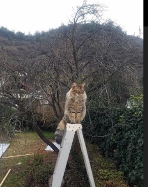 开云体育平台APP-绝杀与统治，文班亚马定义比赛，开拓者险胜新疆