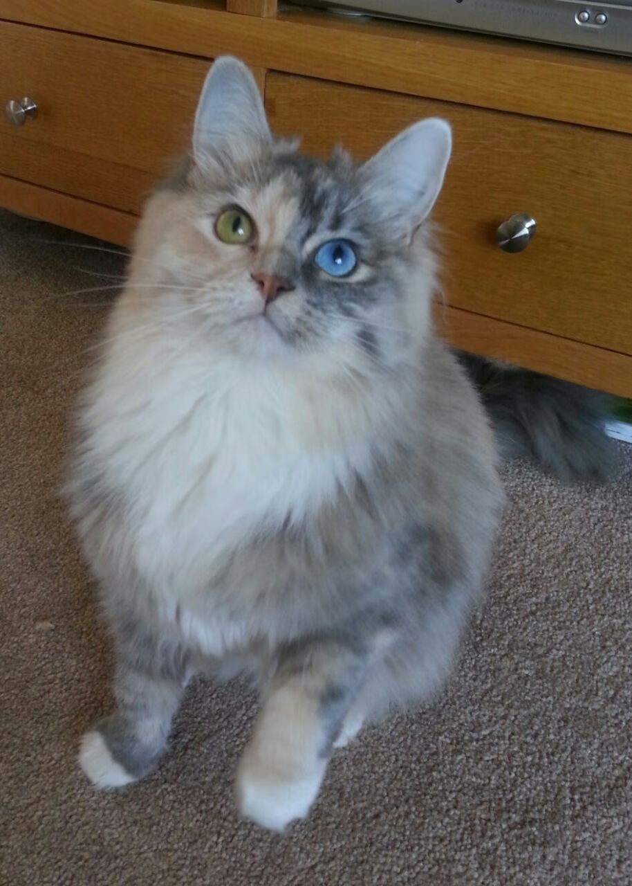 开云体育官网-铁血防线与王者归来，英格兰防守锁死新西兰，拉什福德用实力证明自己