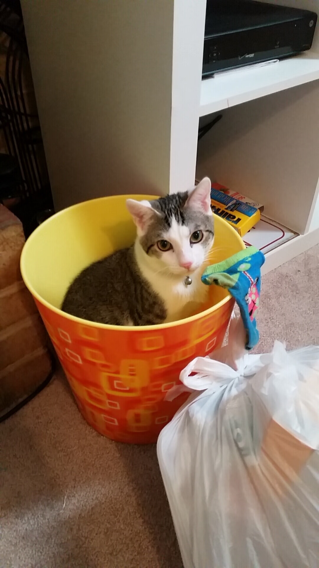 开云体育下载-浓眉擎天难阻万箭齐发 辽宁苦战遭火箭逆转