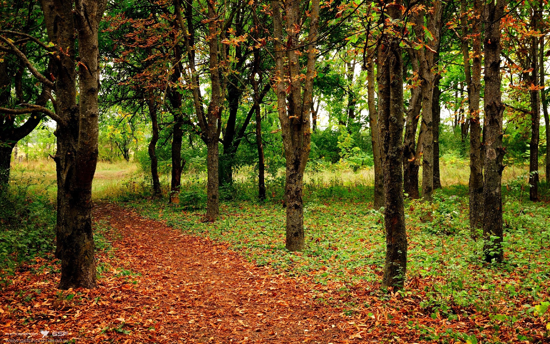 布克绝杀夜，当森林狼巅峰对决遇上山西，大场面先生书写传奇