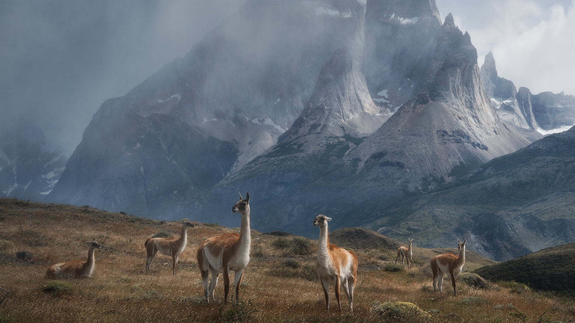 王座易主与绿茵称王，跨越赛场的统治真谛