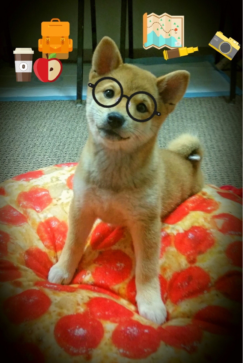 开云APP-萨拉赫打出统治级数据，哥斯达黎加对阵委内瑞拉激战折射足球魅力