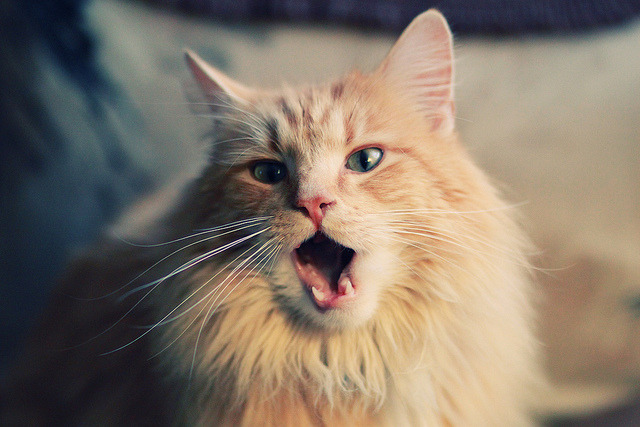 开云体育下载-马刺逆转湖人夺冠，拉文关键先生闪耀全场