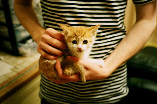 开云体育登录-F1街道赛之夜，暗夜舞者与钢铁猛兽的交响