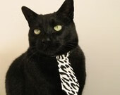 开云APP-恩佐，暗夜淬炼，巨星降临